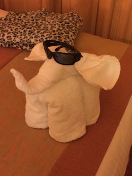Towel animals left on bed every night
