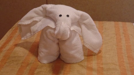 Always love our towel animal from our steward each evening!