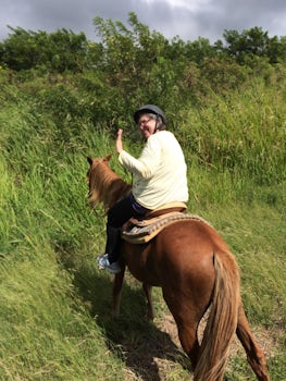 Horseback riding in St. Kitt.  Got our money's worth - was on the horse