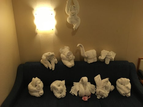My menagerie of towel animals left in our room each day (I requested that t