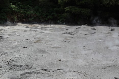 Bubbling Mud pool at Rotorua