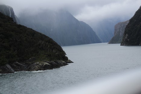Fiordland Scenic Cruise