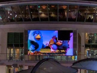Angry Birds movie with blacked out square for 4 nights of movies.