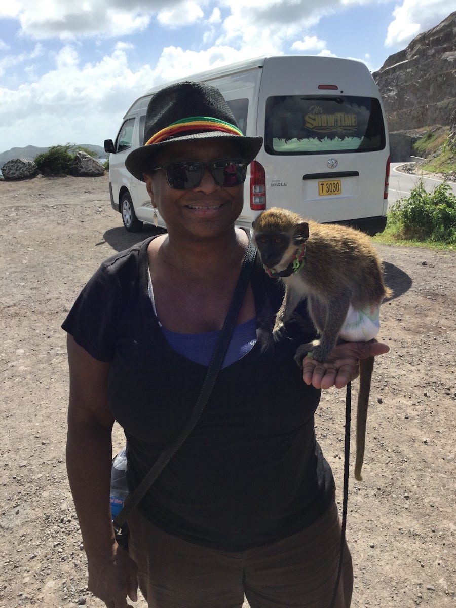 Exchanging ideas with a friendly primate islander on St. Kitts.