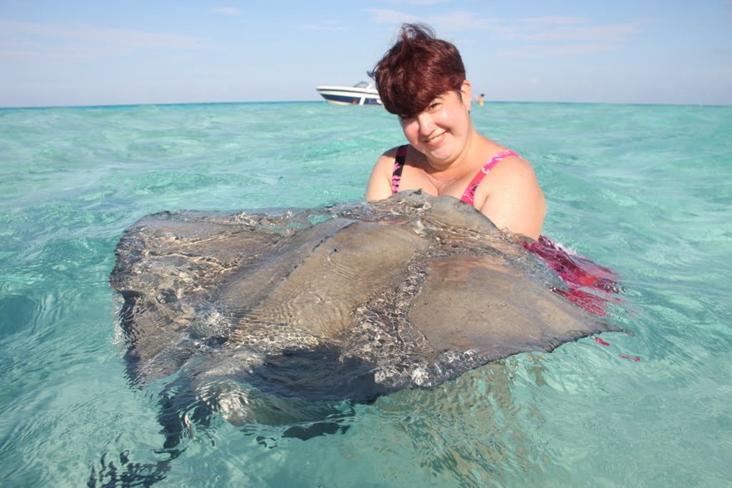 meeting a sting ray named Michelle