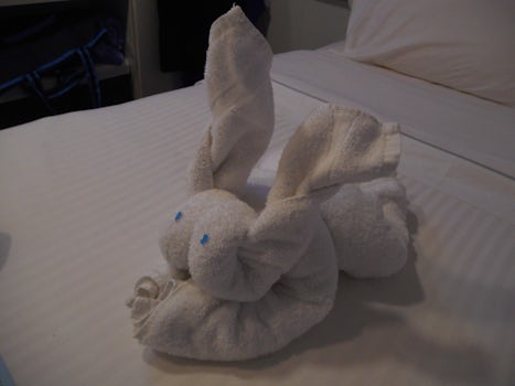 One of many towel artwork done by my cabin steward