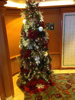one of the many Christmas trees onboard