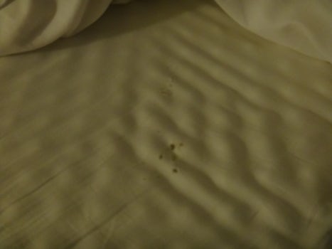 Same holes in the sheet.