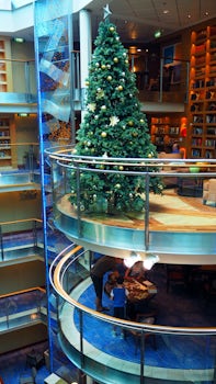 Beautiful Xmas tree adorned the library