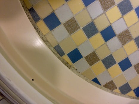 Mold/mildew left in my cabin's shower from prior sailings (this photo w