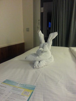 A bit of Animal art from the room stewart.