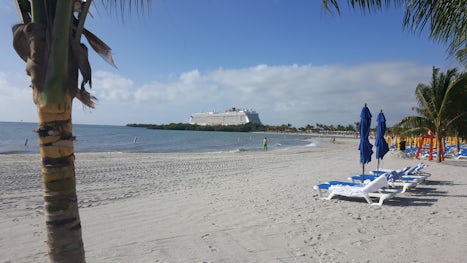 View of ship from Harvest Caye