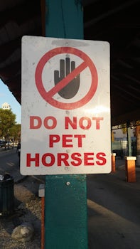 Dockside Horse Stalls in Nassau