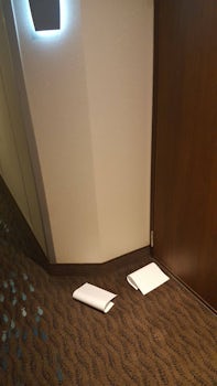 PERSONAL DATA spilled outside 2 CABINS on last cruise day! Other cruise lin