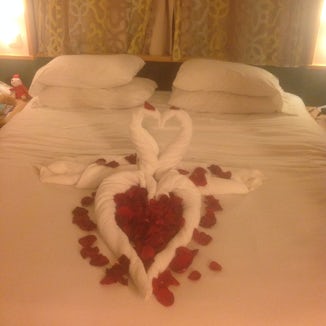 Towel sculpture and rose petals in the cabin the night of the proposal