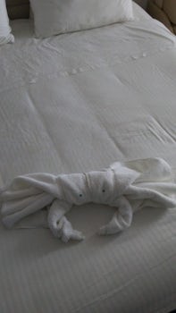 Towel crab