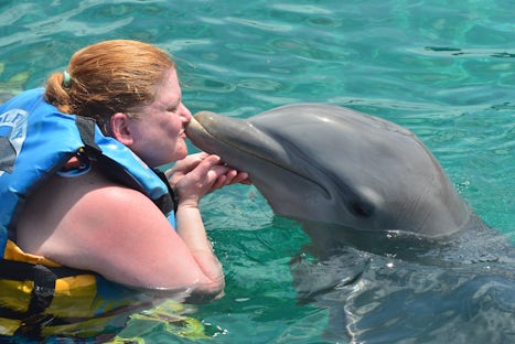 Dolphin Encounter, Cozumel, Mexico