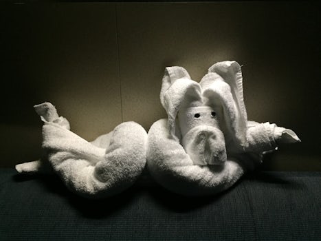 One of the great towel animals waiting for us in our cabin each evening !