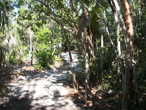 Coco Cay Nature Trail Hike
