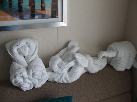 Our growing collection of towel animals.