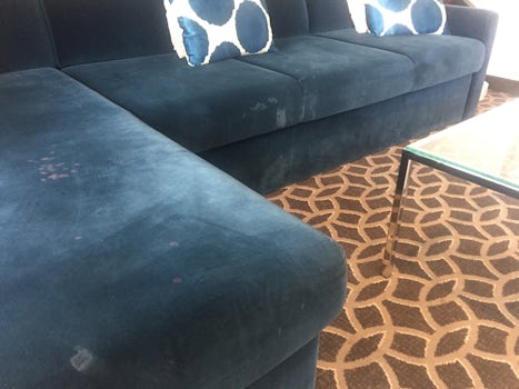 Stained sofas in suite