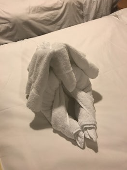 Special Towel- Animals made daily and left in my stateroom for my evening s