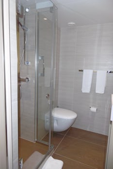 Shower with glass door and shelf for shaving your legs, ladies.  More towel