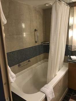 Grand Suite shower/tub