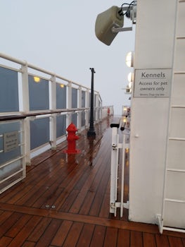 Bring your pup, there is a place for them too on the QM2