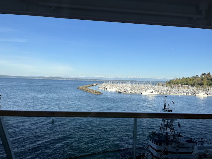 The view from our cabin in Seattle