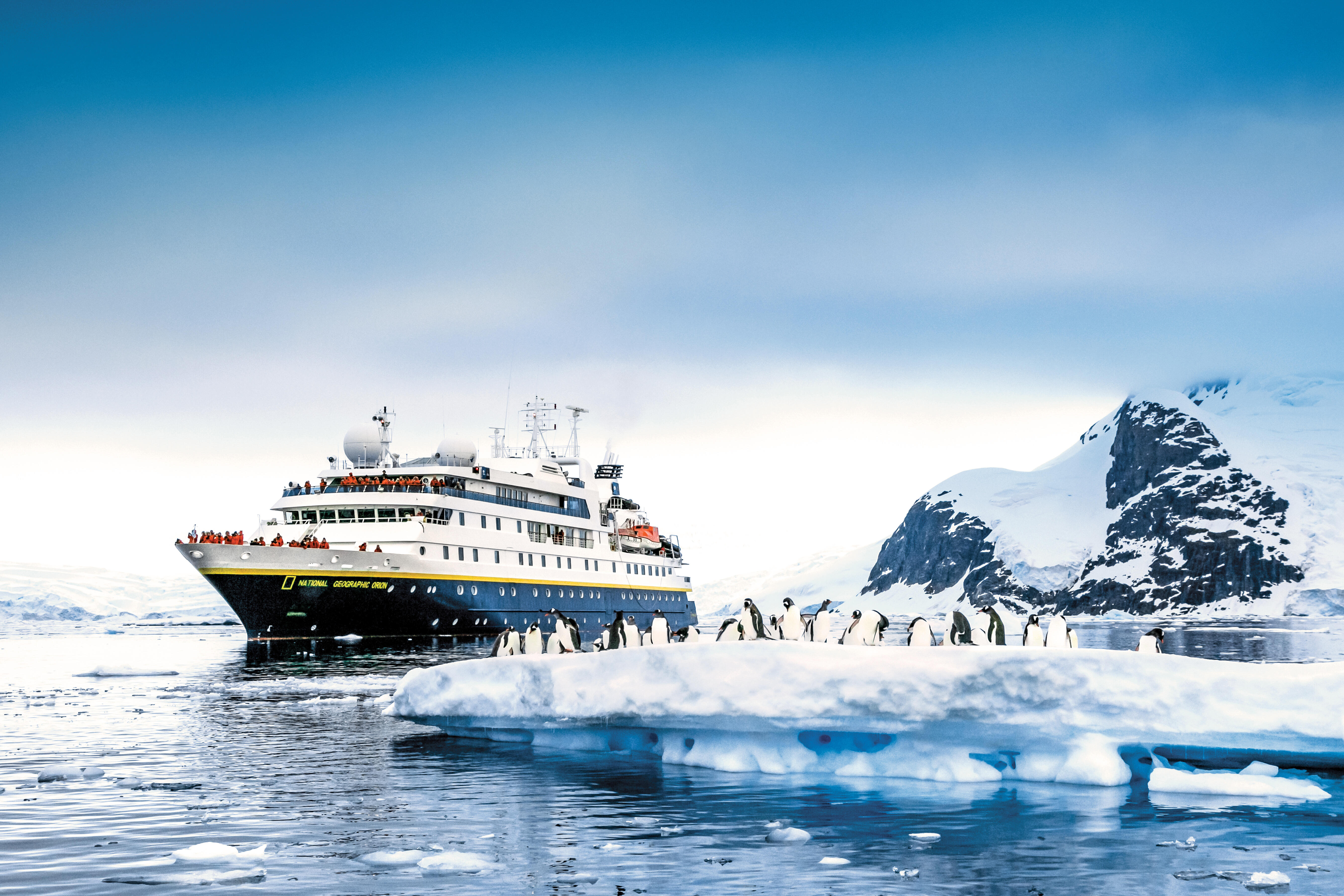 Antarctica Cruise Tips - South America & Antarctica cruises