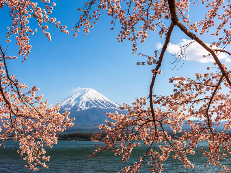 The Best Cruise Lines That Sail in Japan for Australians - Cruise Critic
