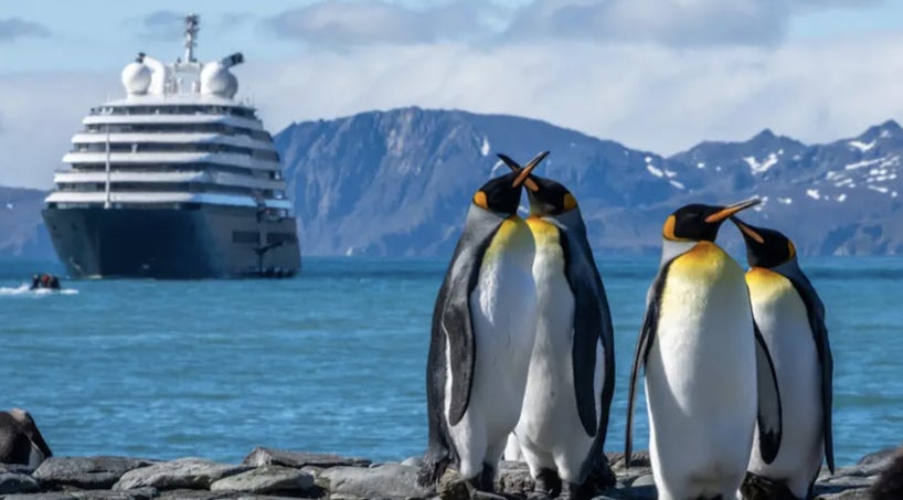 A Scenic cruise ship on an Antarctica itinerary. (Photo: Scenic Luxury Cruises)
