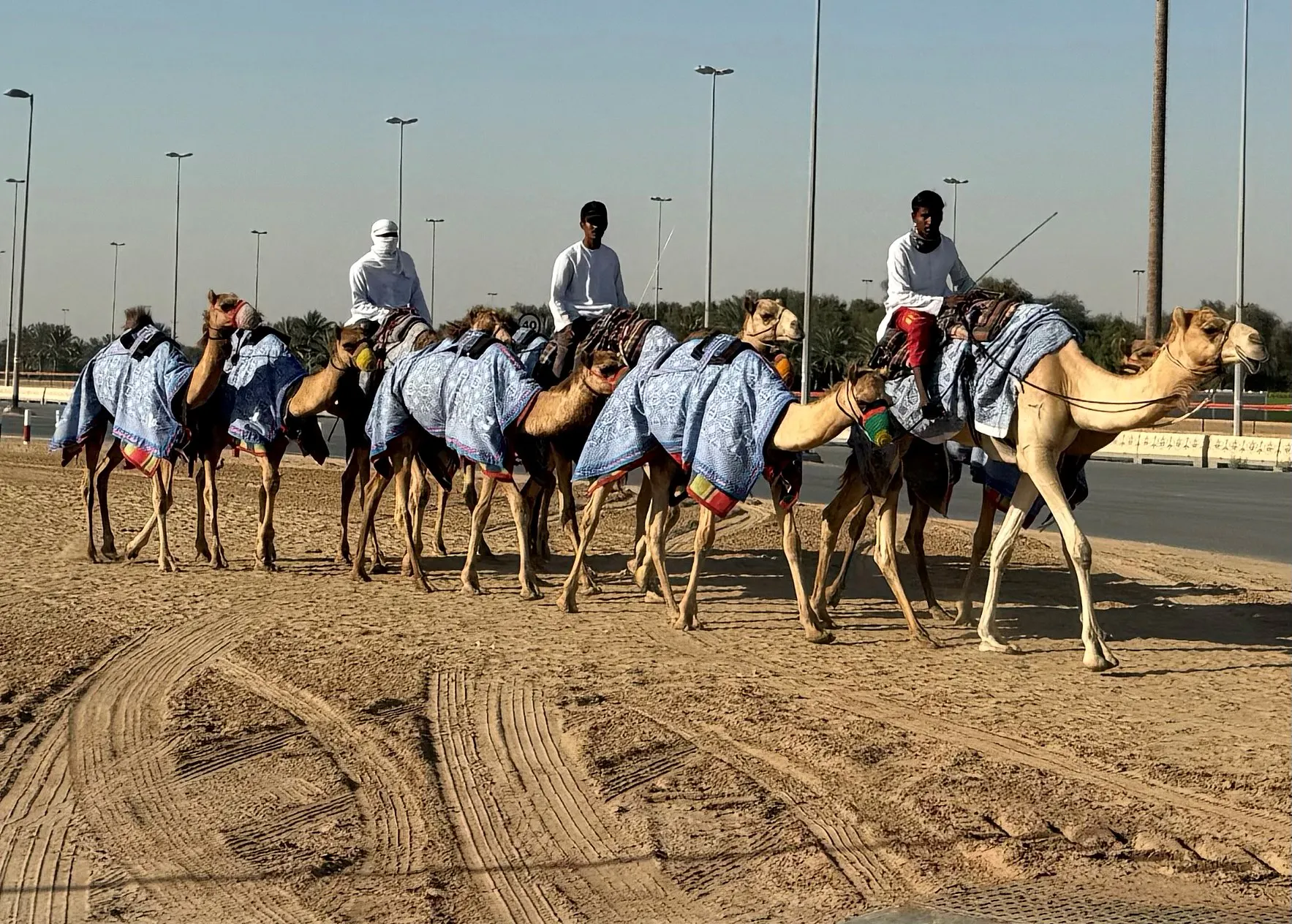 I Camped in the Desert on My Dubai Cruise
