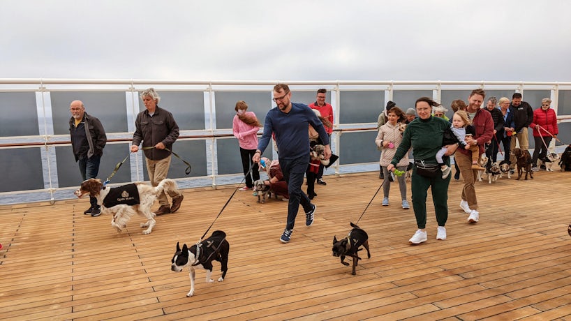 Passengers walk their dogs on Queen Mary 2 (Photo: Colleen McDaniel)