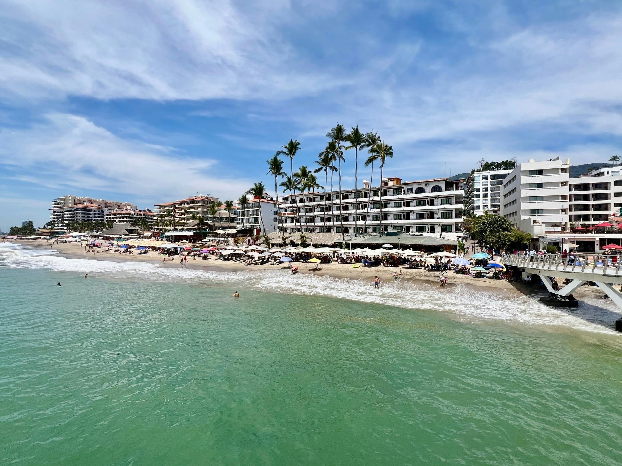 Welcome (Back) to the Jungle | AUSA, image size:2048x1536