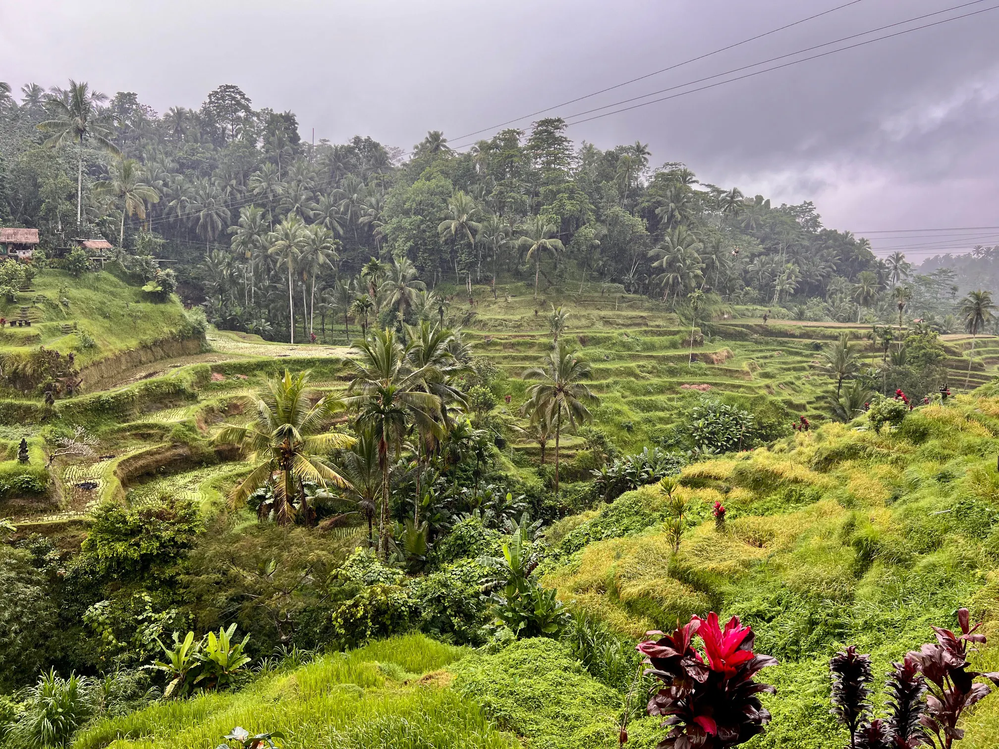 Indonesia Cruises: Everything You Need to Know
