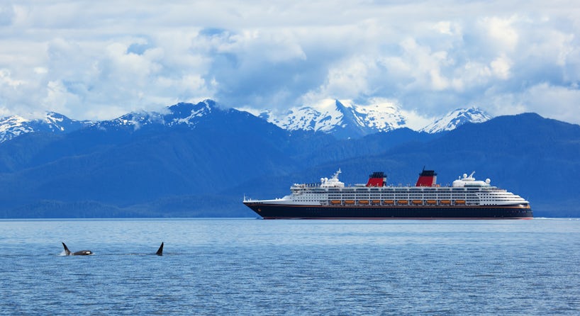 Cruise ship in Alaska with snow-covered mountains in the background, and two orca whales in the foreground