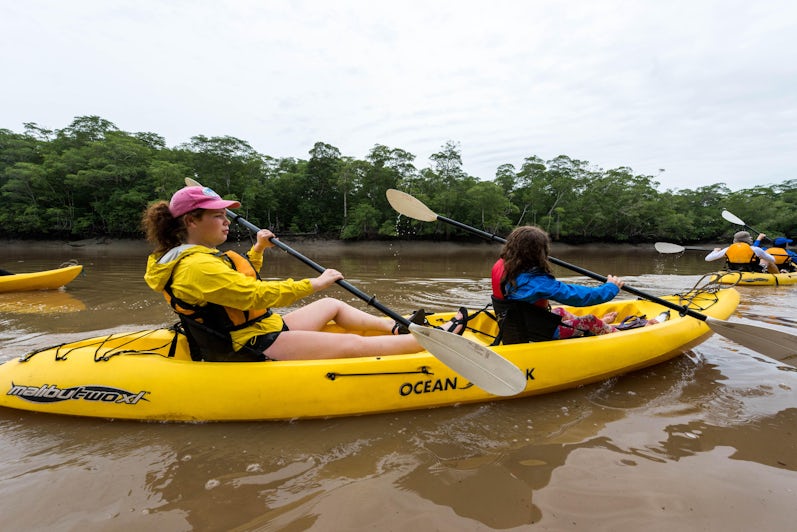 Mangrove Kayak Excursion in the Darien Jungle