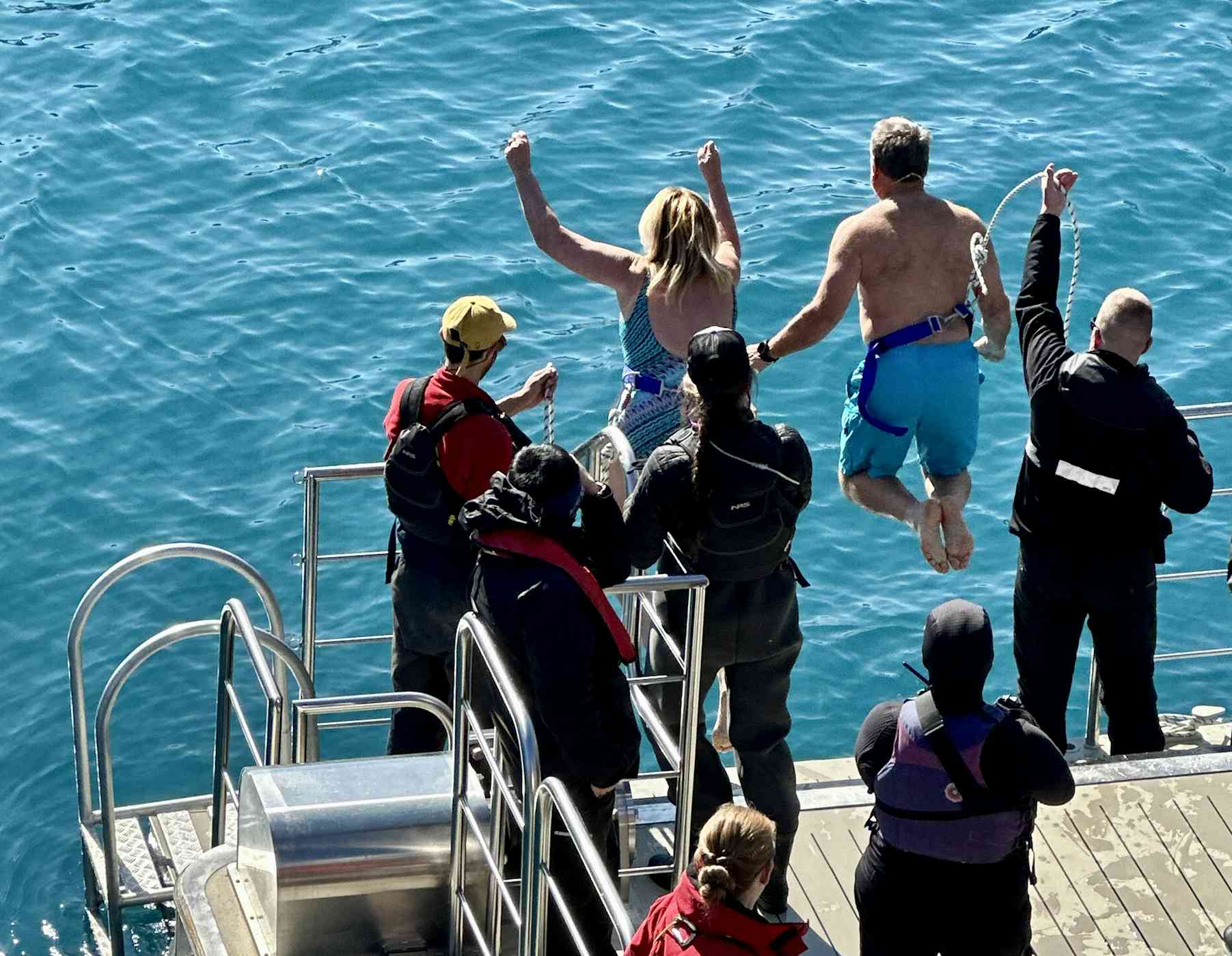 The Polar Plunge: Everything You Need to Know