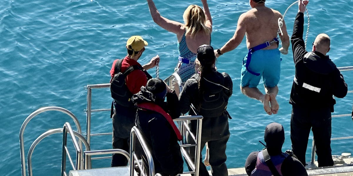Would you jump into near-freezing seas?