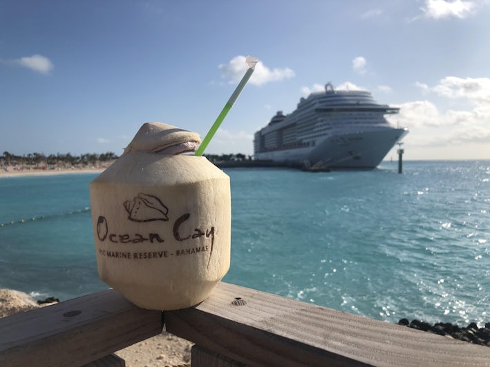 Close-up of a coconut-carved drink at Ocean Cay MSC Marine Reserve, with ship docked in the background