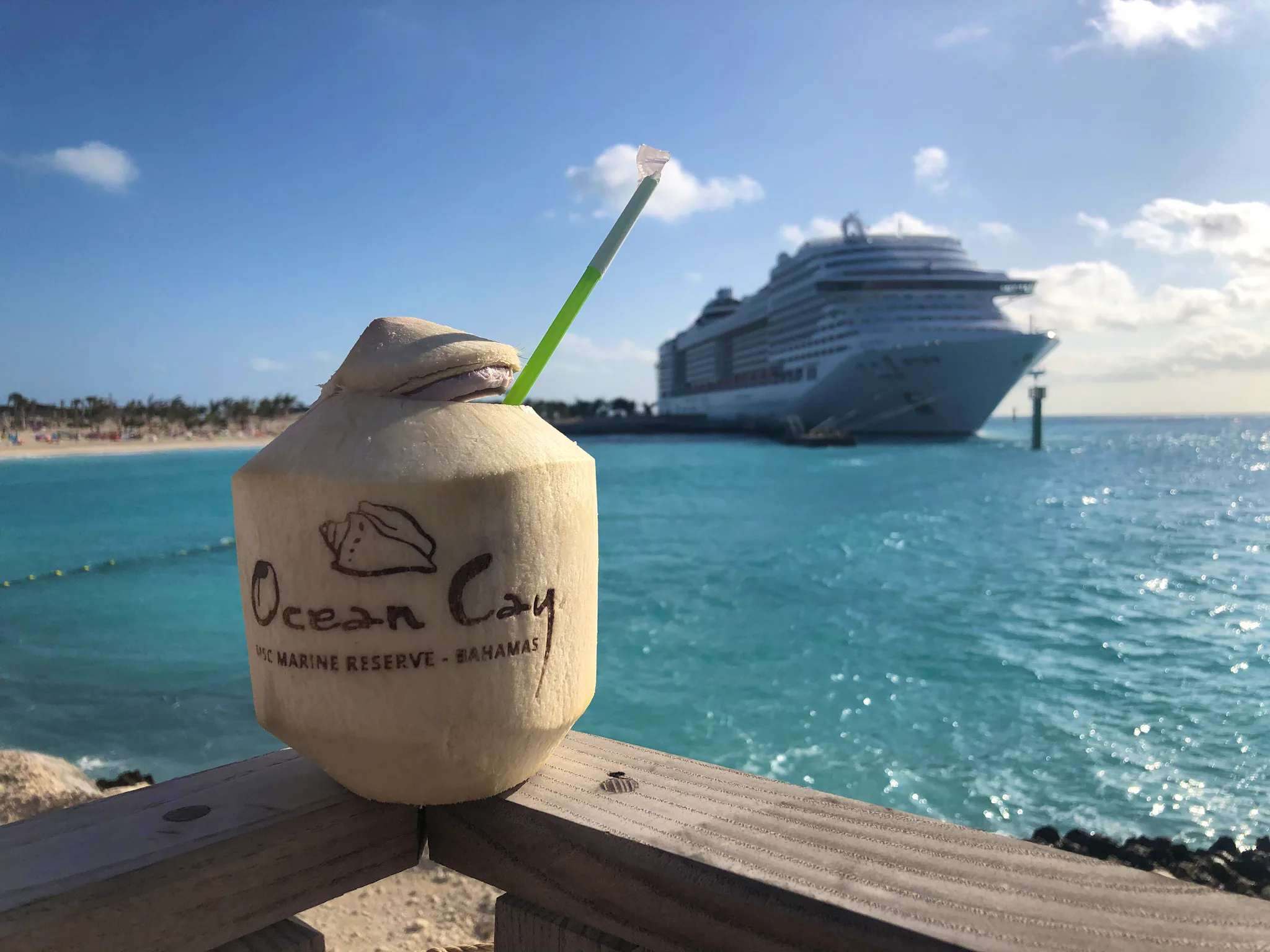 Close-up of a coconut-carved drink at Ocean Cay MSC Marine Reserve, with ship docked in the background