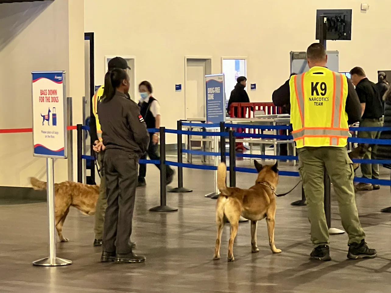 Terminal Retch Dog Fan Ban, No Hip Hop on Carnival Cruise Line? Not So