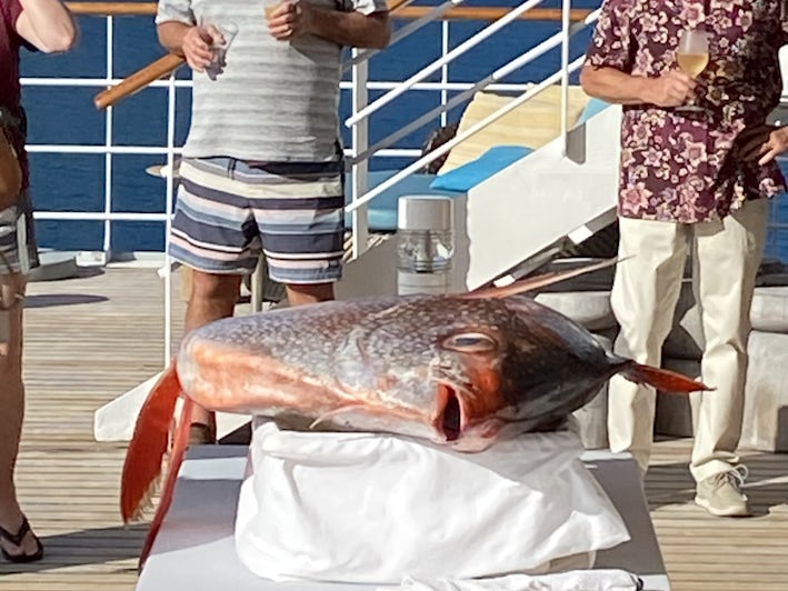 Moonfish ready to be carved on Paul Gauguin (Photo: Chris Chin)