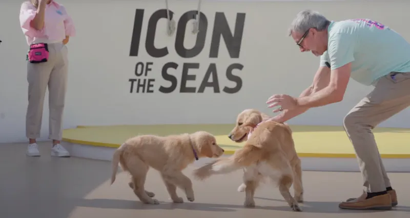 Royal Caribbean Seeks Name for New Chief Dog Officer