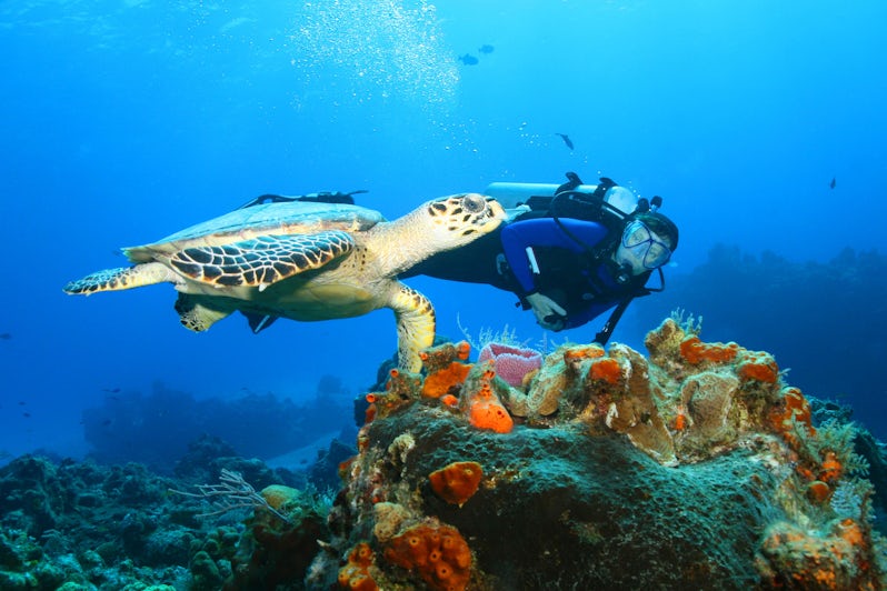 Snorkeling in Cozumel (Photo: Brian Lasenby/Shutterstock)