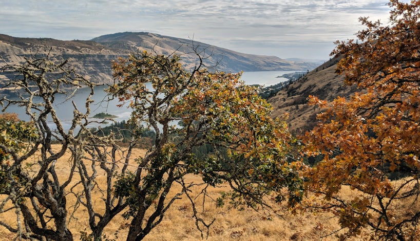 The scenery from a hike is spectacular on a Columbia and Snake River cruise. (Photo: John Roberts)