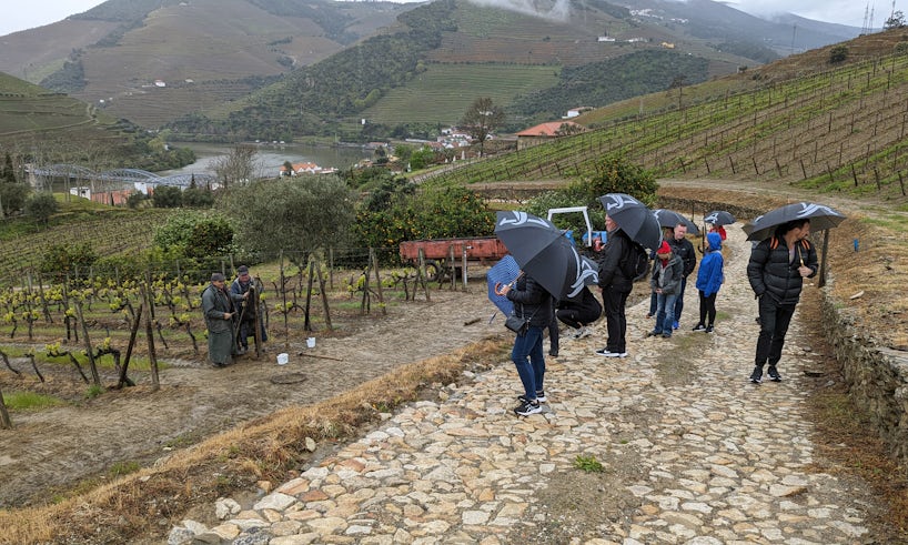 Hikers from Avalon Alegria stroll through a vineyard in Portugal. (Photo: Colleen McDaniel)
