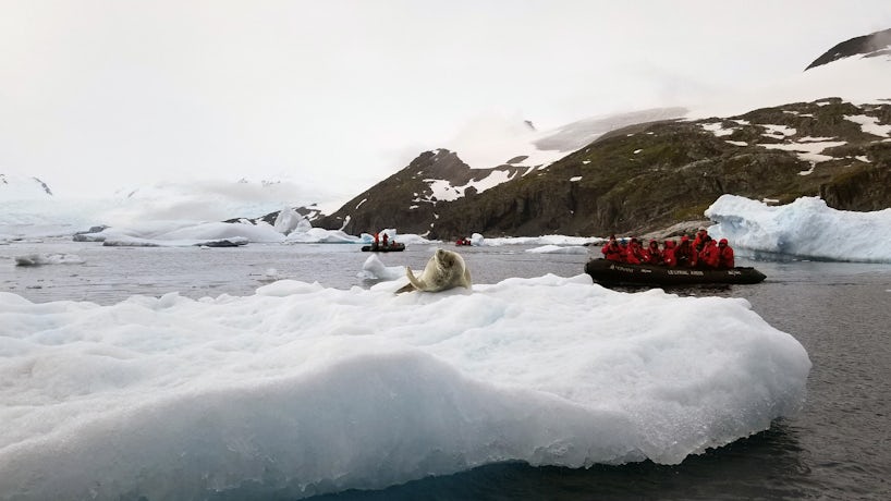 A crabeater seal relaxes on the ice while cruisers in a Zodiac boat snap photos. (Photo: Colleen McDaniel)
